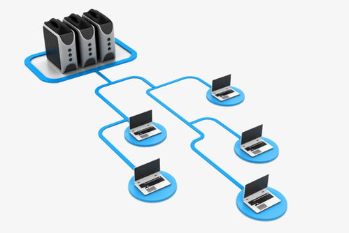 企业网络维护外包 高效解决机房设备、局域网组建与共享修复问题