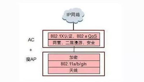 提升WiFi信号 为平面设计师打造的稳定网络升级指南